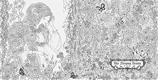 Romantic Fairy Tale Coloring Book (Fairy Tale Coloring Series) Tomoko Tashiro - Japanese Coloring Book