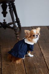 Cute dog clothes for small dogs - Japanese Craft Book