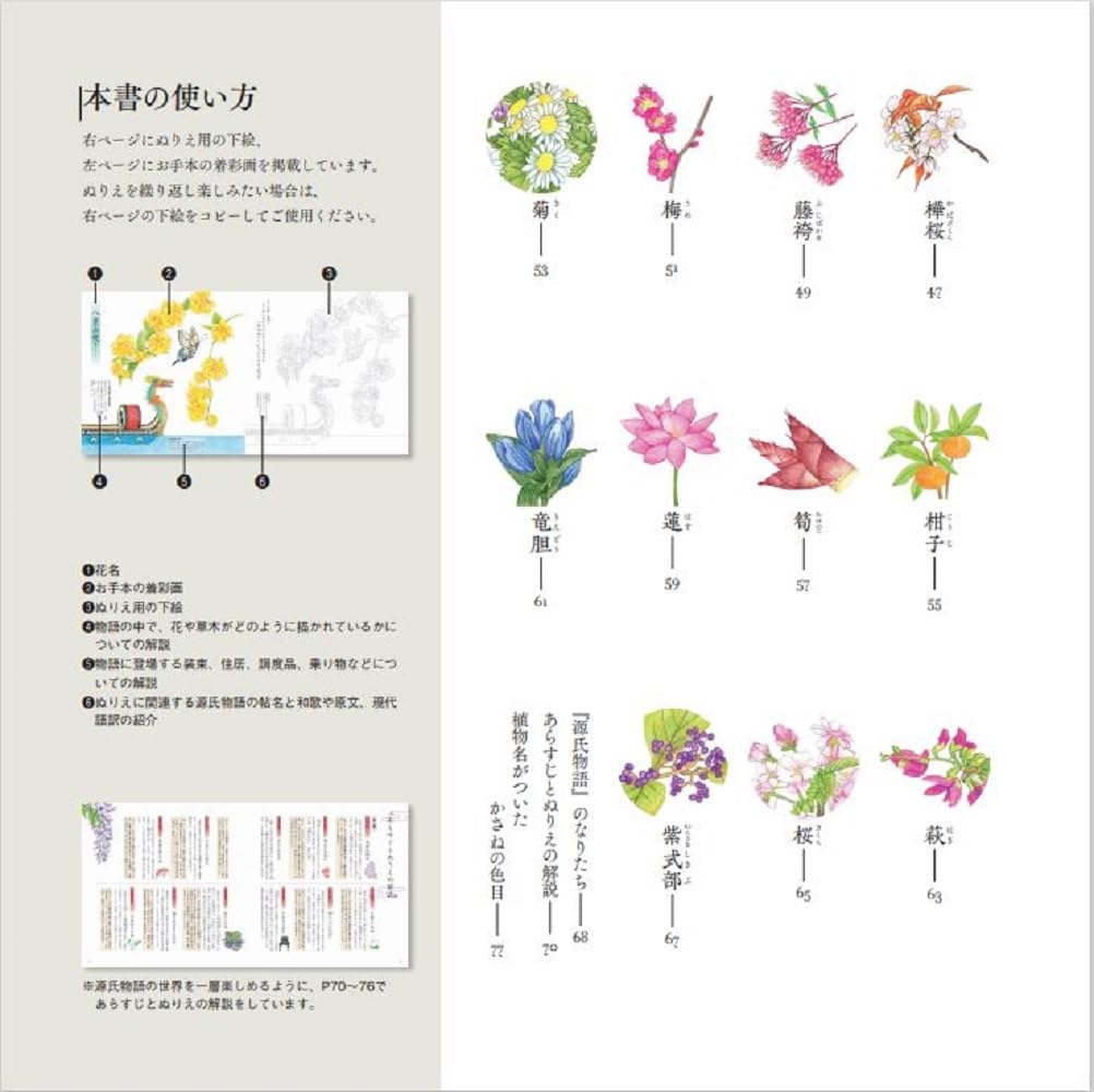 Flowers from the Tale of Genji coloring book - Japanese Coloring Book