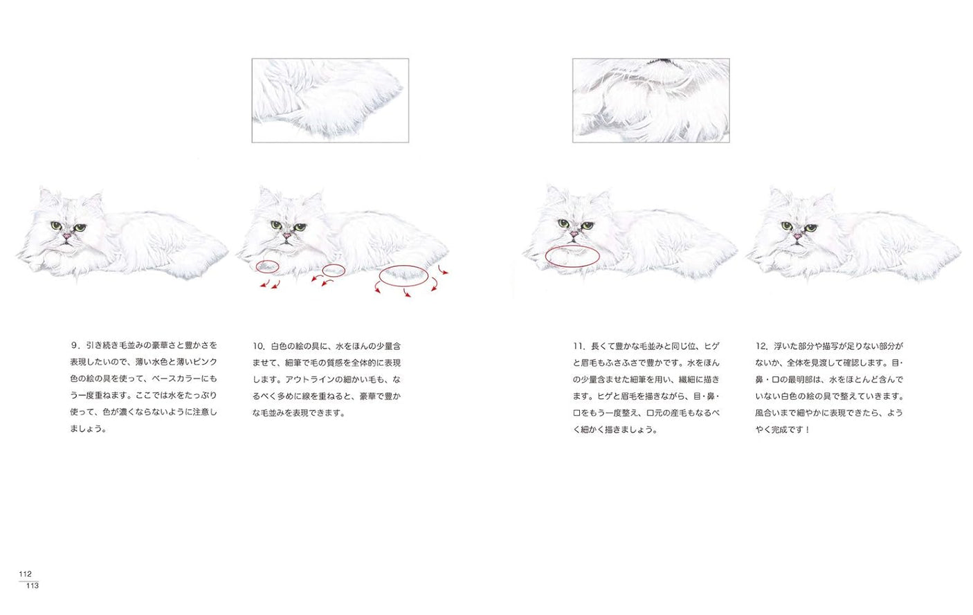 Draw a cat - Japanese Coloring Book