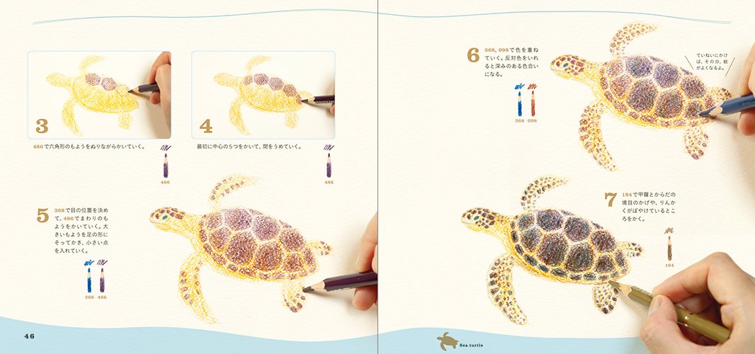 Cute water creatures with colored pencils Japanese Coloring Book