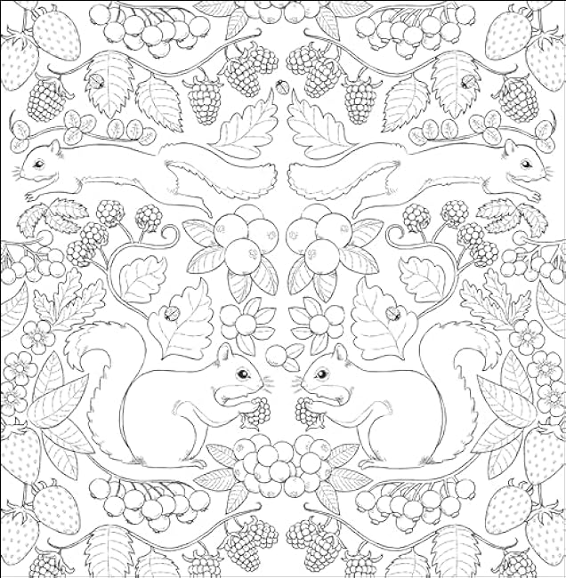 Pattern coloring book Beautiful classical world Japanese Coloring Book