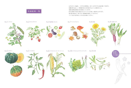 Coloring book for adults - Vegetable garden flowers and fruits - Japanese Craft Book