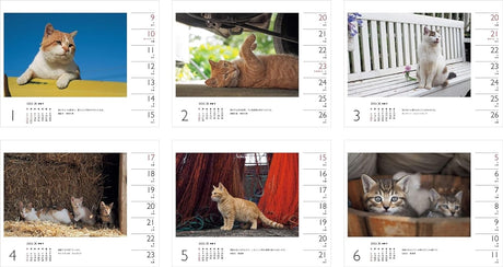 Calendar 2022 Mitsuaki Iwago x Cat (Weekly/Tabletop/Wall Hanging/Ring) (Yamakei Calendar 2022)