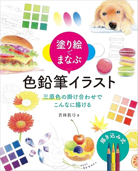 Learn with colored pencils: You can draw so much with just the three primary colors! Japanese Craft Book