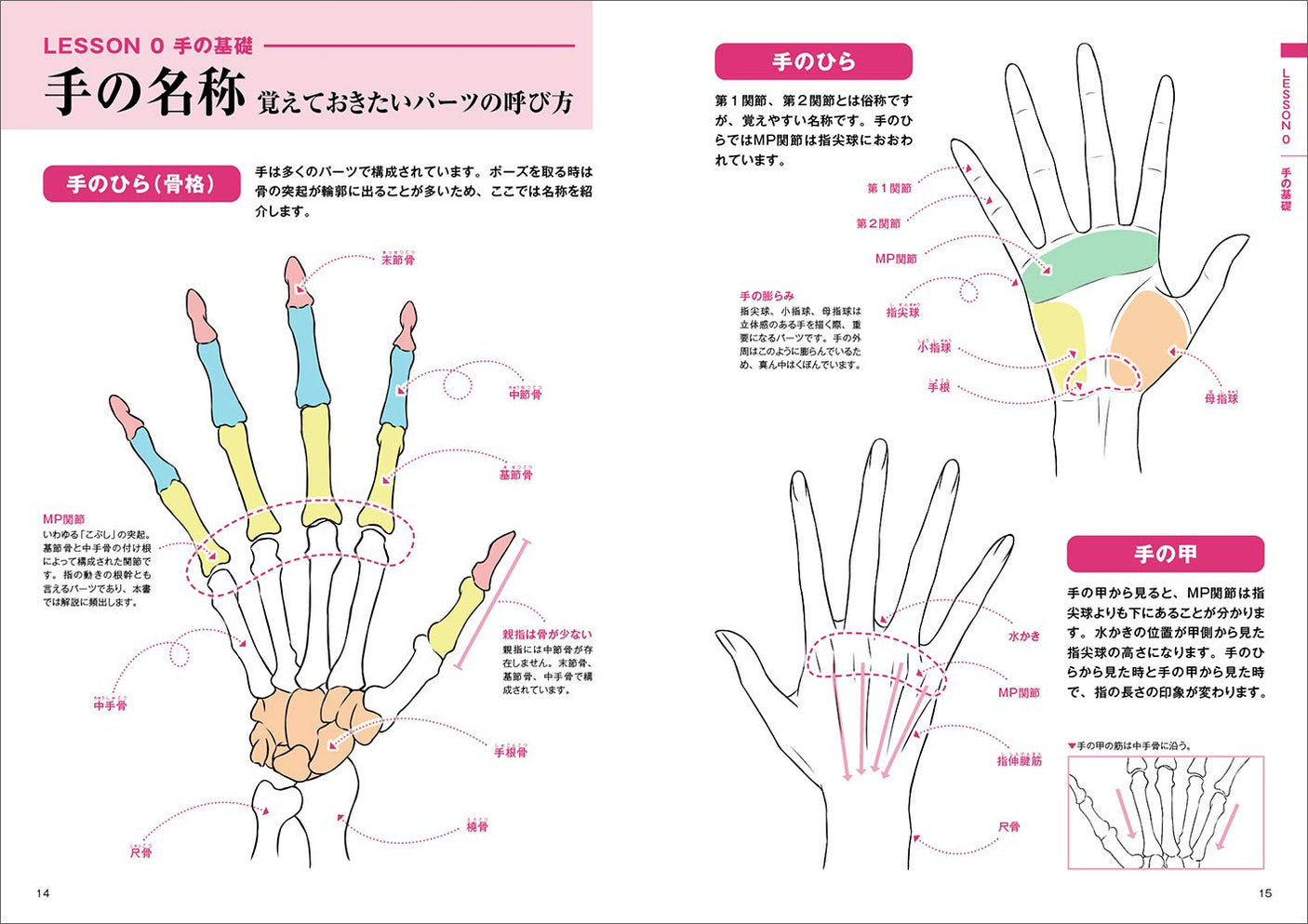 How to draw beautiful hands - Japanese Craft Book