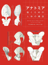 Anatomia Human body structure for drawing - Japanese Craft Book