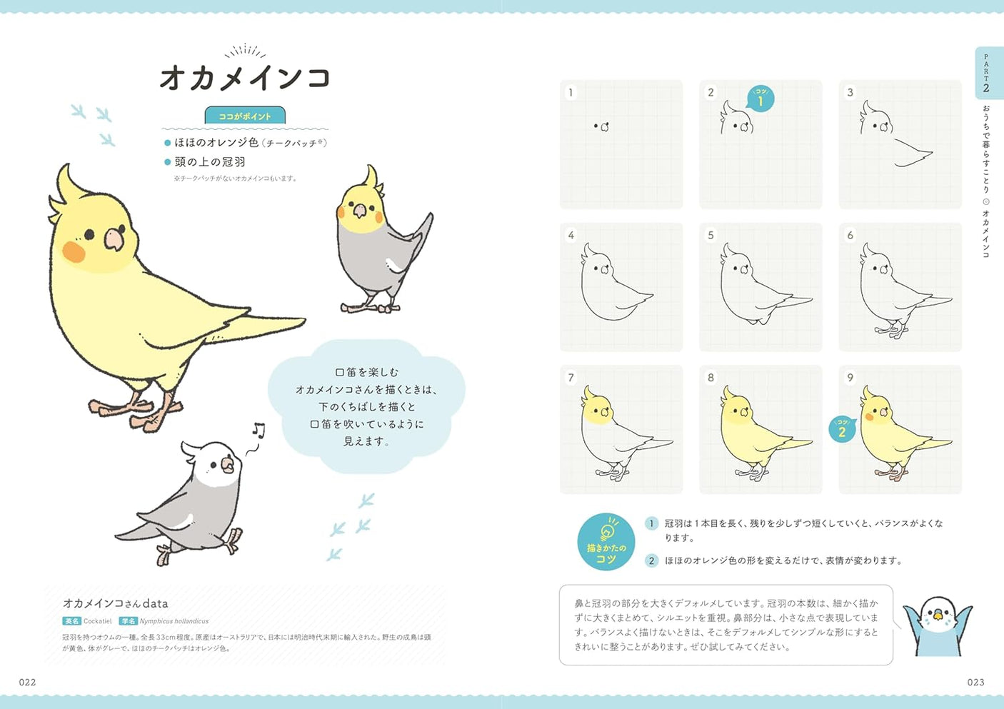 BIRDSTORY's How to Draw Cute Birds - Japanese Coloring Book