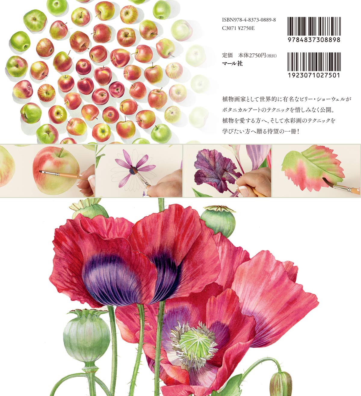 Botanical art drawn with watercolors Japanese Craft Book