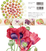 Botanical art drawn with watercolors Japanese Craft Book