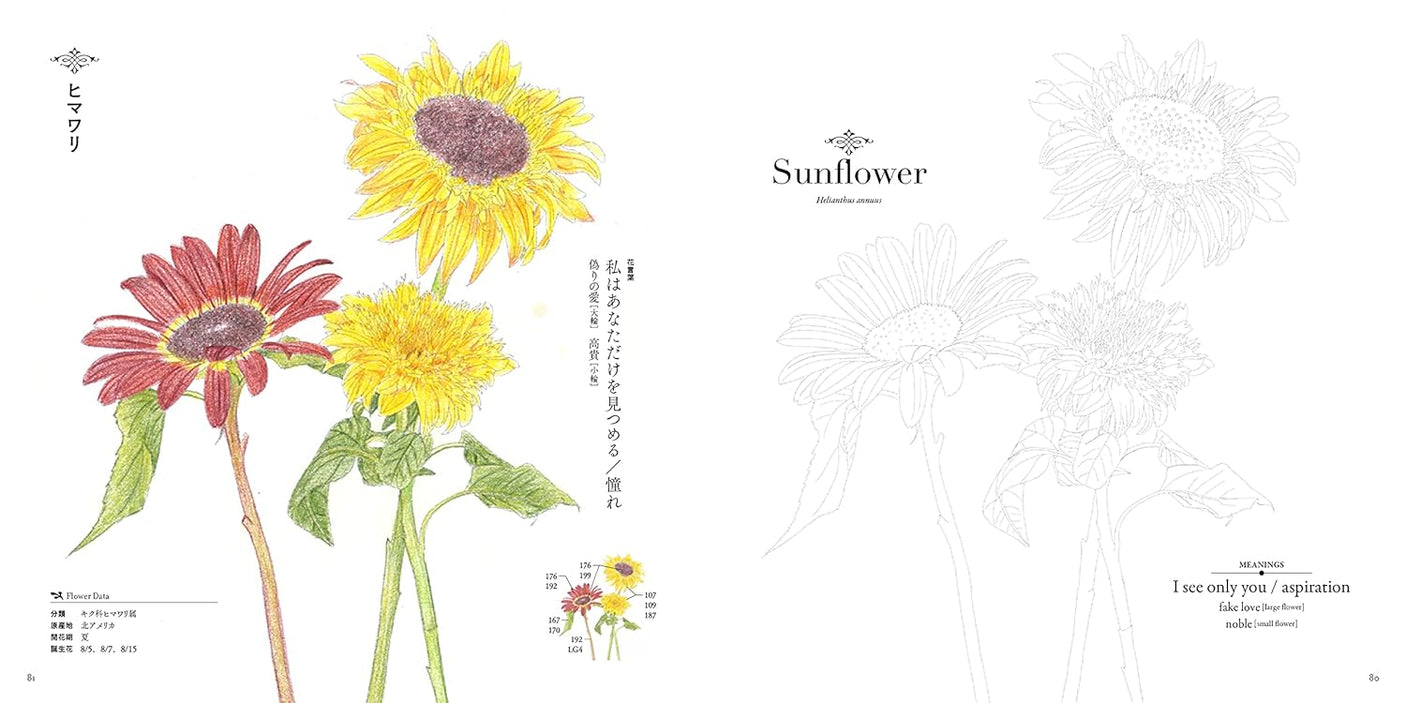 Coloring flower language/flower picture book Japanese Coloring Book