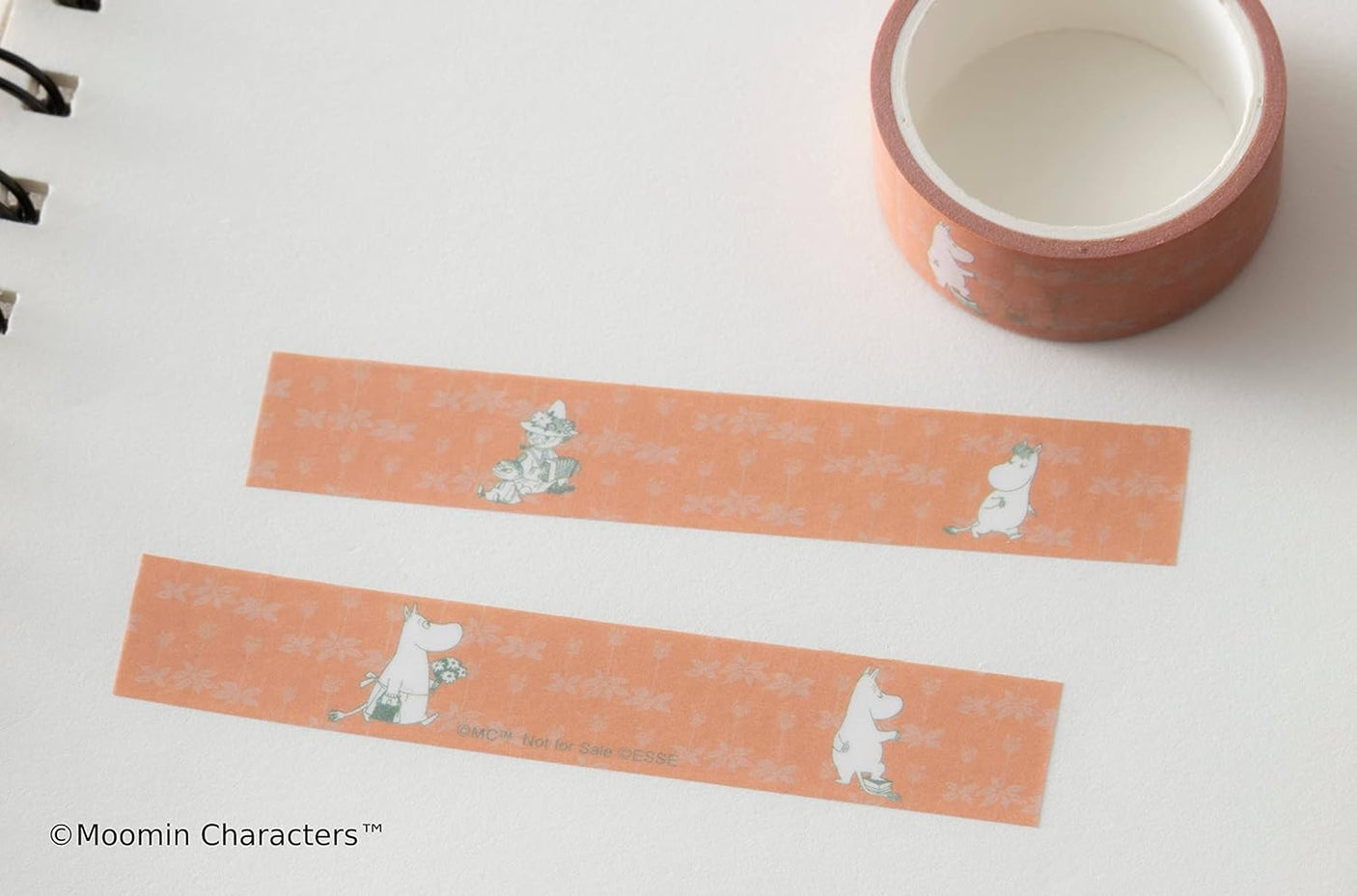 ESSE July 2023 special edition Moomin can BOX set with masking tape and memo