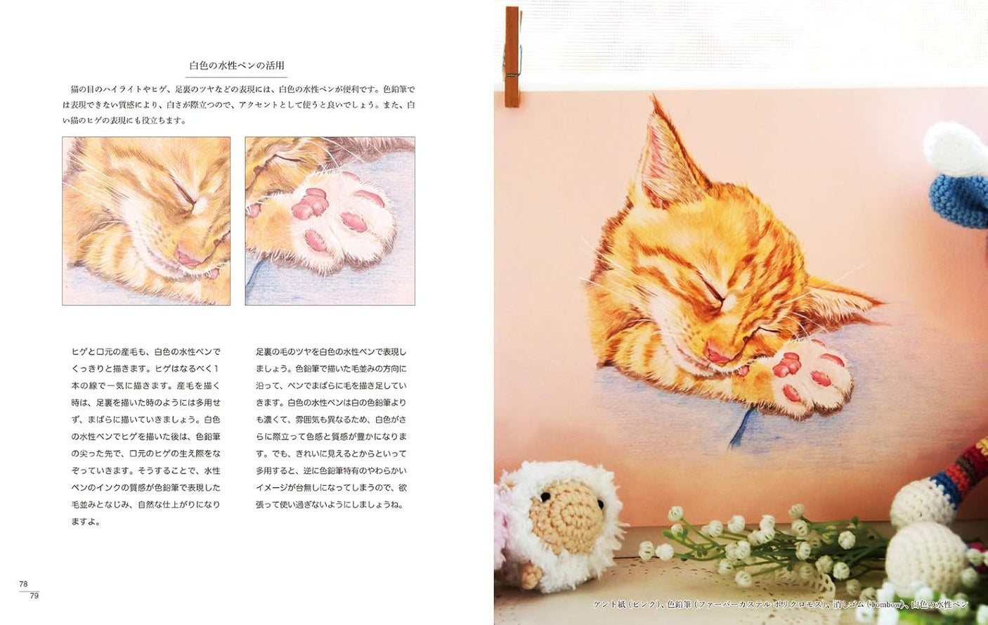 Draw a cat - Japanese Coloring Book