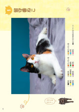 Daily Brain Training Special: Cat Number Puzzle Coloring Book - Just color in the correct numbers! Improves concentration and memory - Japanese Craft Book