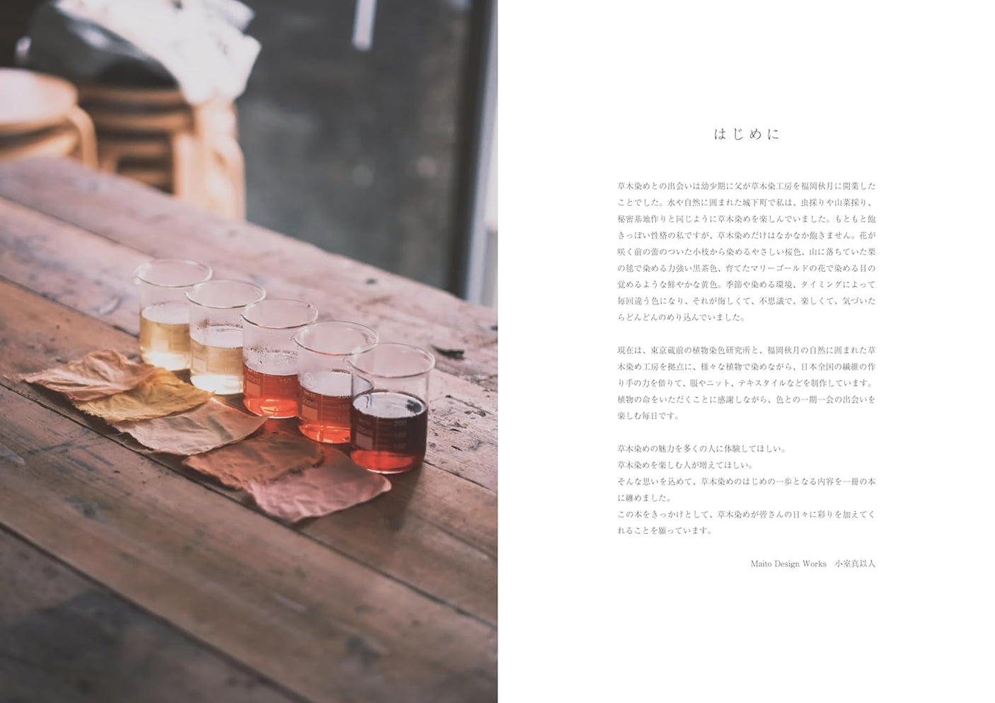 Enjoy plant dyeing at home with Maito Design Works - Japanese Craft Book