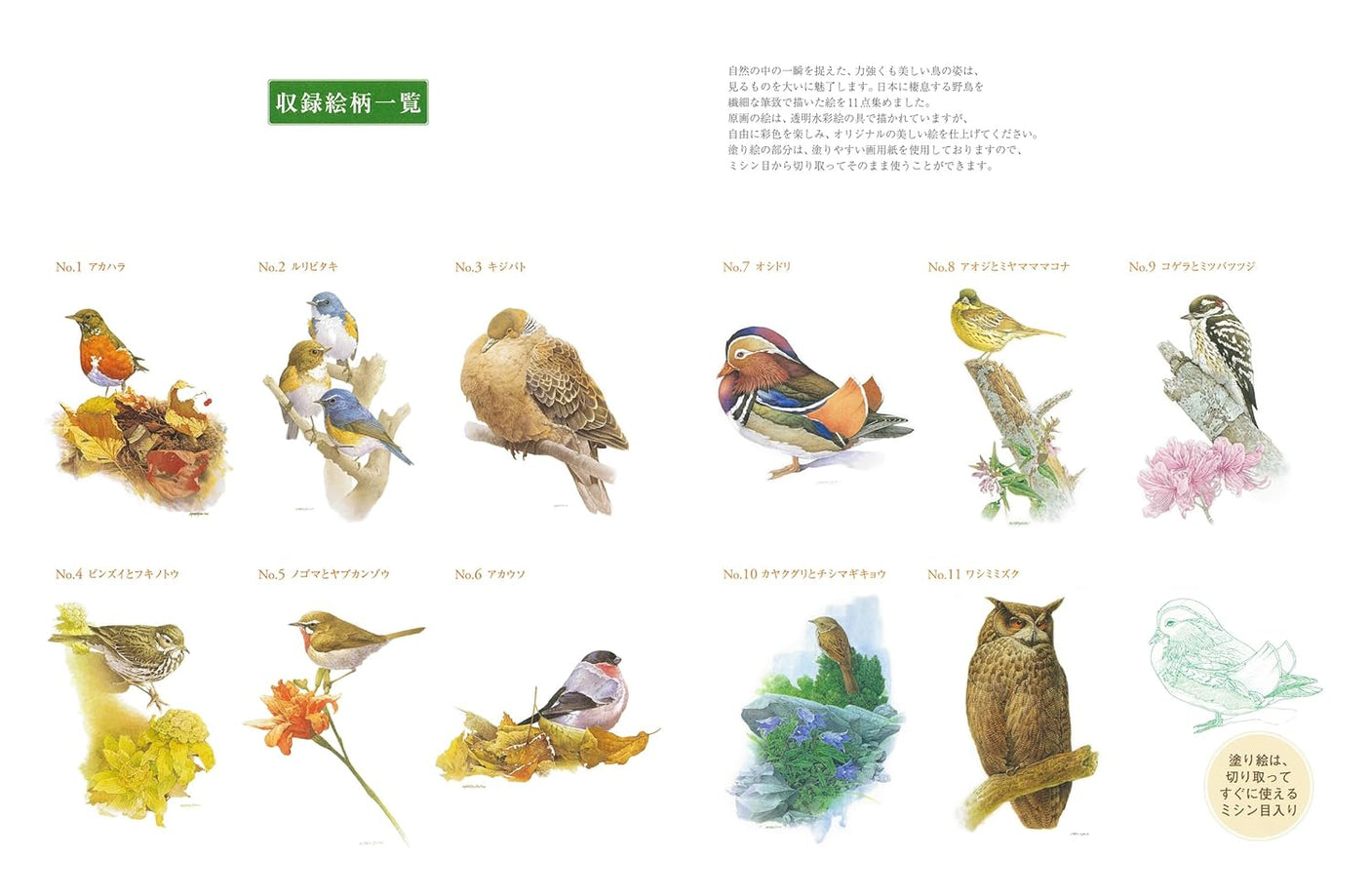 Coloring book for adults: Japanese wild birds Japanese Coloring Book