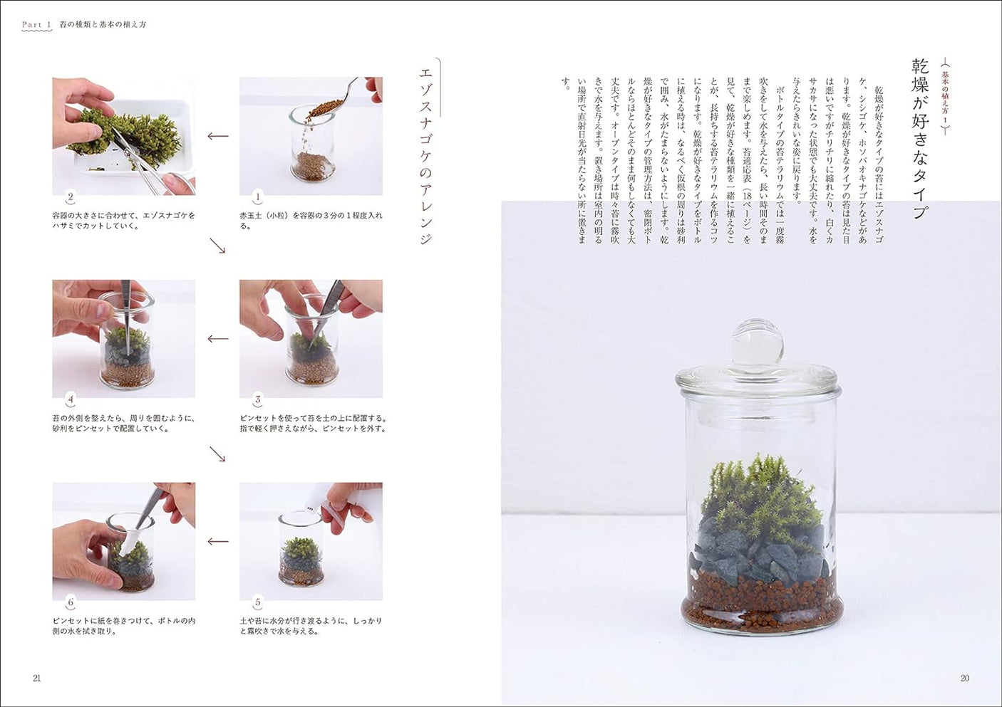 Easy maintenance for long-lasting enjoyment Moss Terrarium Yoshihiro Ono - Japanese Craft Book