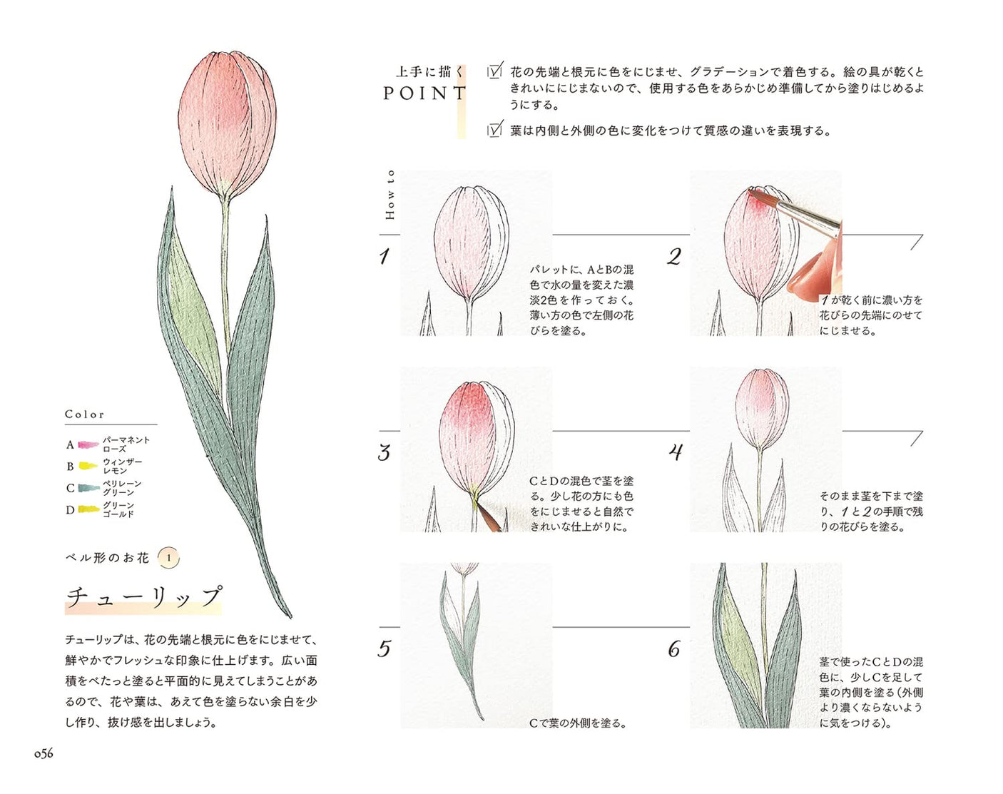 Botanical illustration & casual lettering LESSON Coloring book - Japanese Craft Book