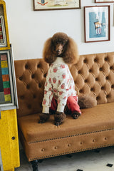 Commercially OK! Stylish dog clothes: Enjoy layering and coordinating outfits - Japanese Craft Book