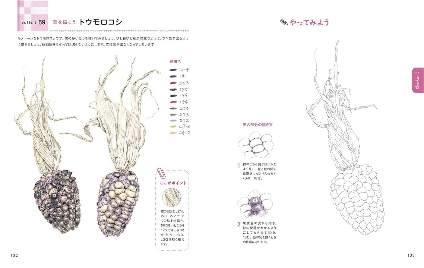 Colored Pencil Technique Book Japanese Craft Book Hitomi Kawai coloring lesson - Japanese Craft Book