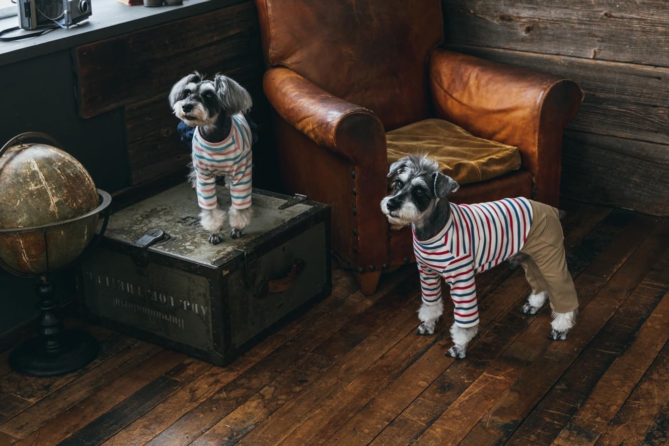 Commercially OK! Stylish dog clothes: Enjoy layering and coordinating outfits - Japanese Craft Book