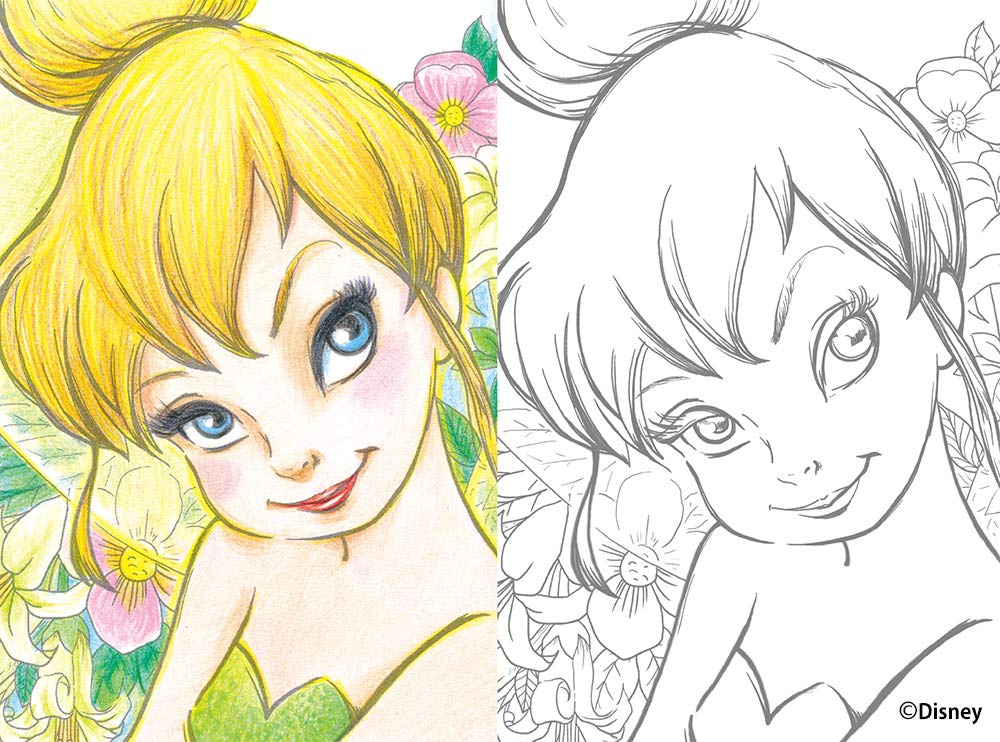 Adult Disney lovely postcard coloring book Japanese Coloring Book