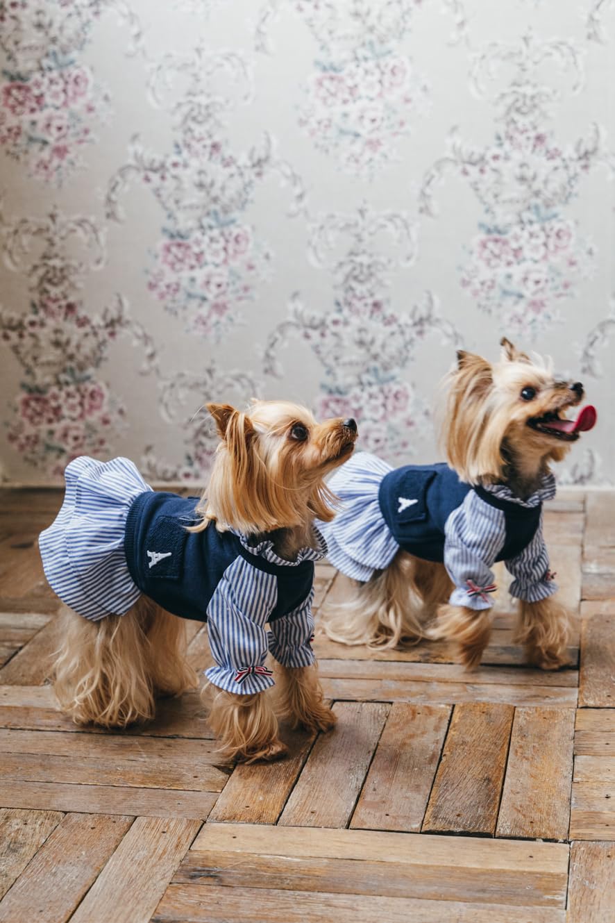 Commercially OK! Stylish dog clothes: Enjoy layering and coordinating outfits - Japanese Craft Book