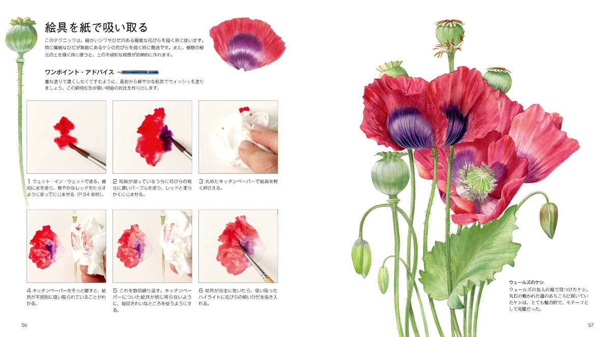 Botanical art drawn with watercolors Japanese Craft Book