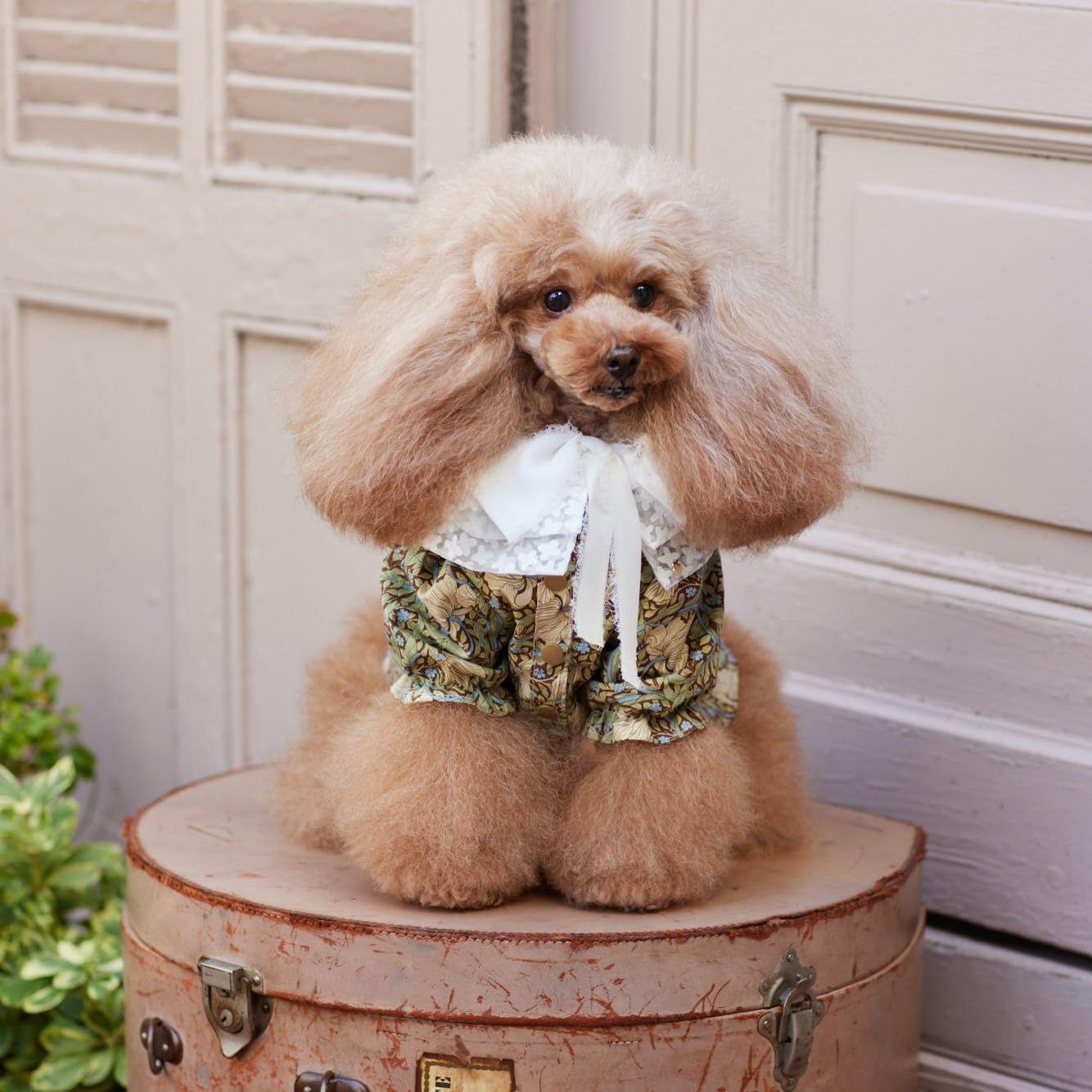 Cute dog clothes for small dogs - Japanese Craft Book