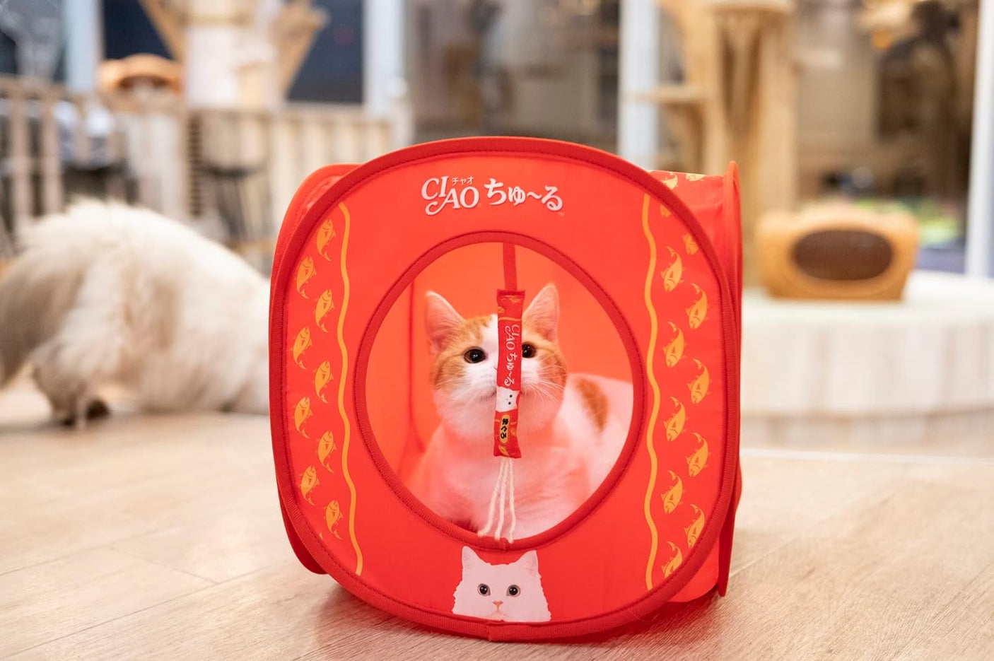 CIAO Churu Cat House BOOK that pleases cats around the world (Variety)