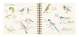 Cute birds with colored pencils First lesson Japanese Craft Book illustration - Japanese Craft Book