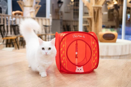 CIAO Churu Cat House BOOK that pleases cats around the world (Variety)