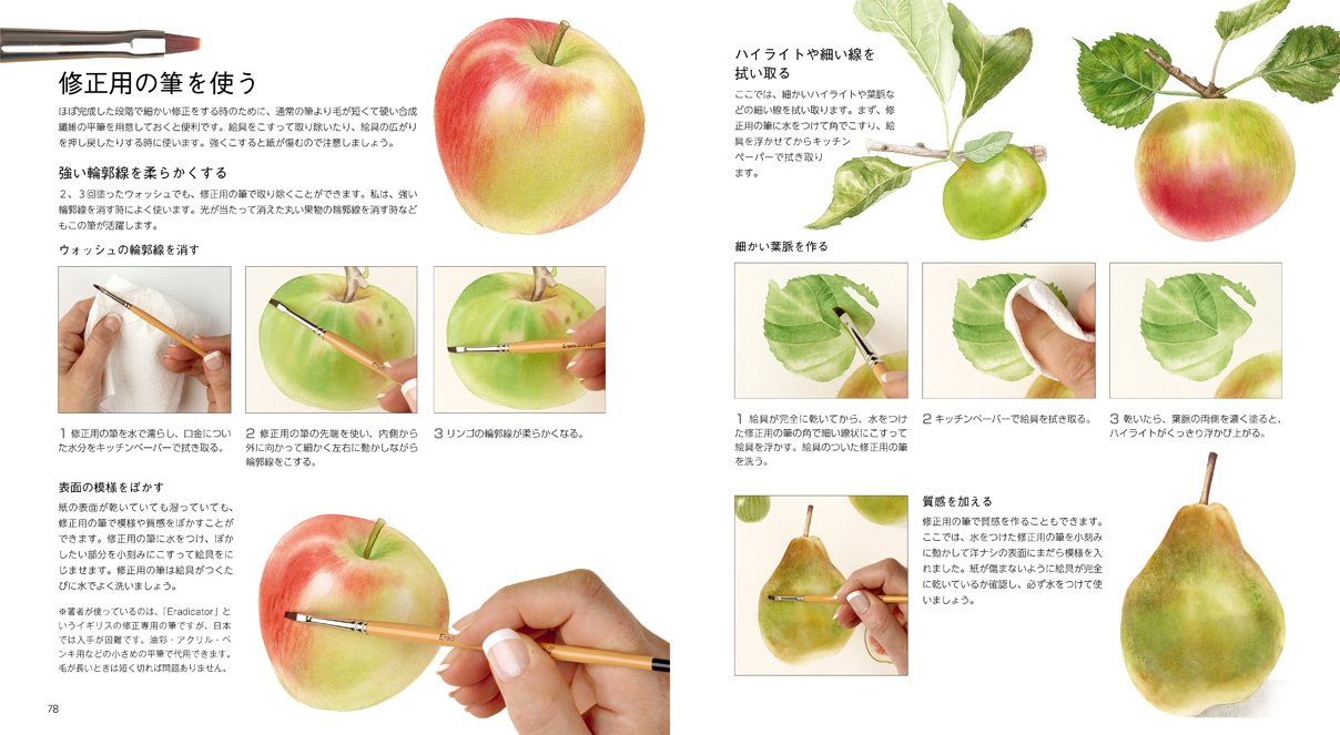 Botanical art drawn with watercolors Japanese Craft Book