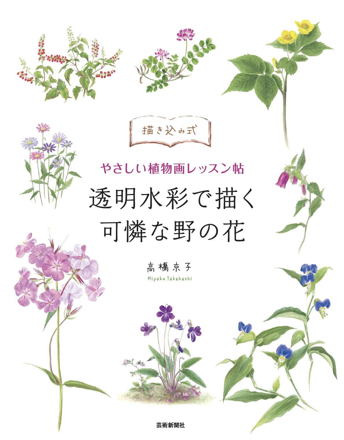 Draw-in type easy botanical drawing lesson book - Pretty wild flowers drawn with transparent watercolors Japanese Craft Book