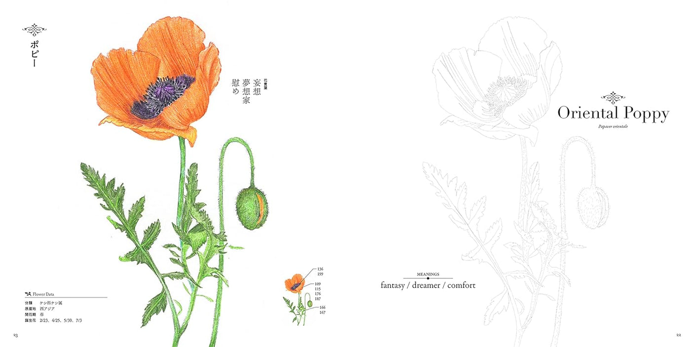 Coloring flower language/flower picture book Japanese Coloring Book