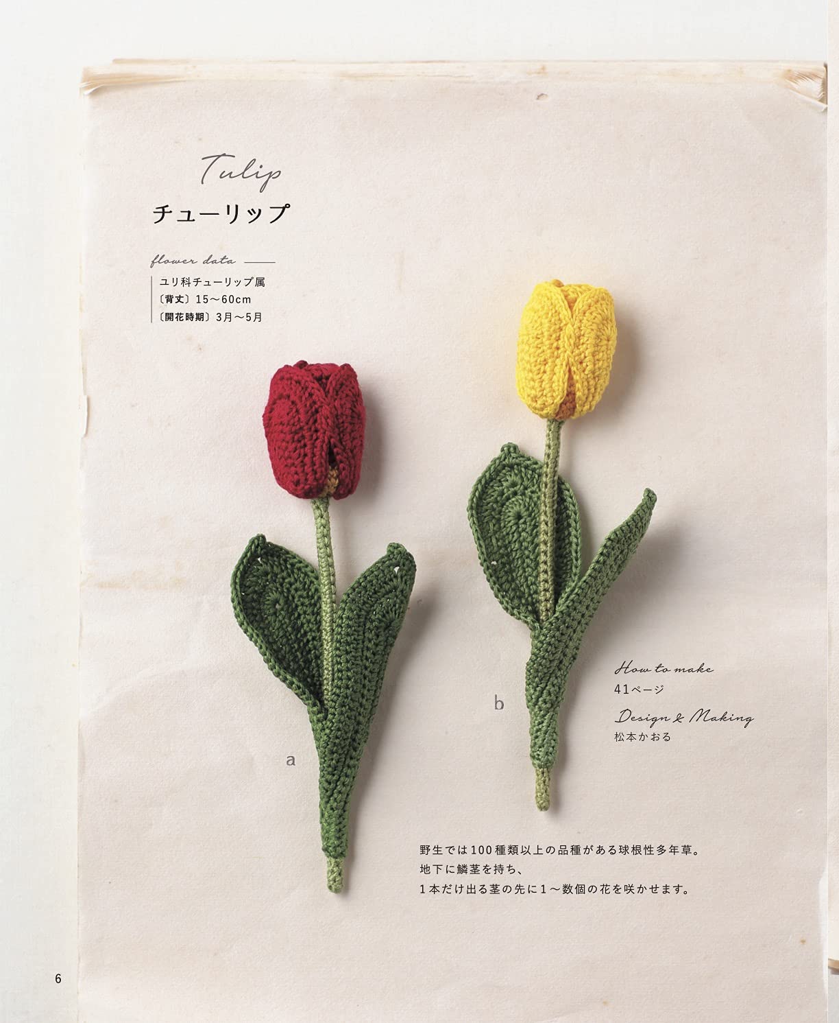 Crochet with Embroidery Threads A Beautiful Book of Flowers