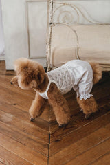 Commercially OK! Stylish dog clothes: Enjoy layering and coordinating outfits - Japanese Craft Book