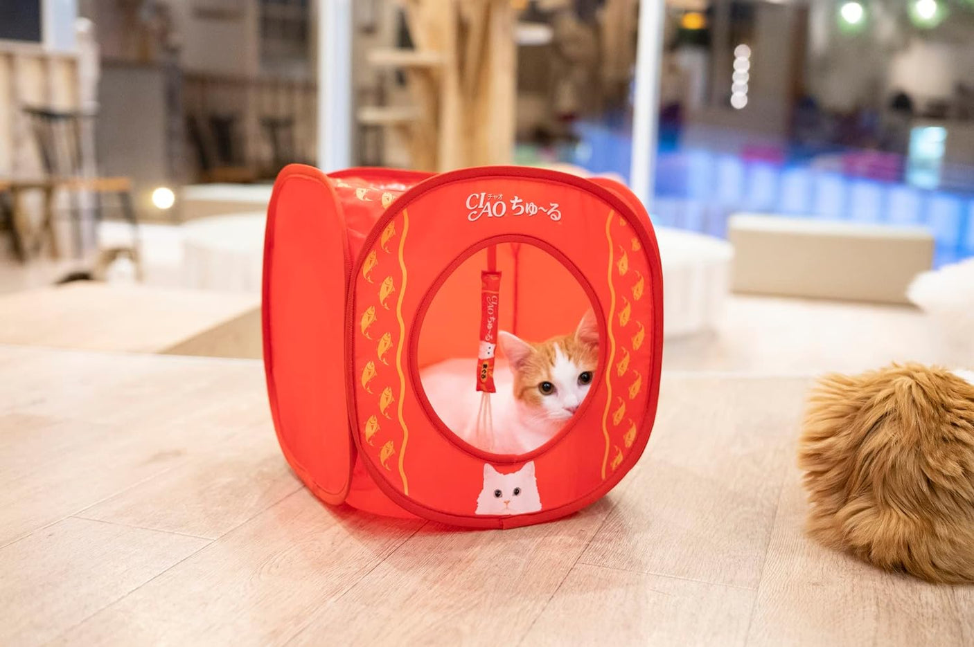 CIAO Churu Cat House BOOK that pleases cats around the world (Variety)