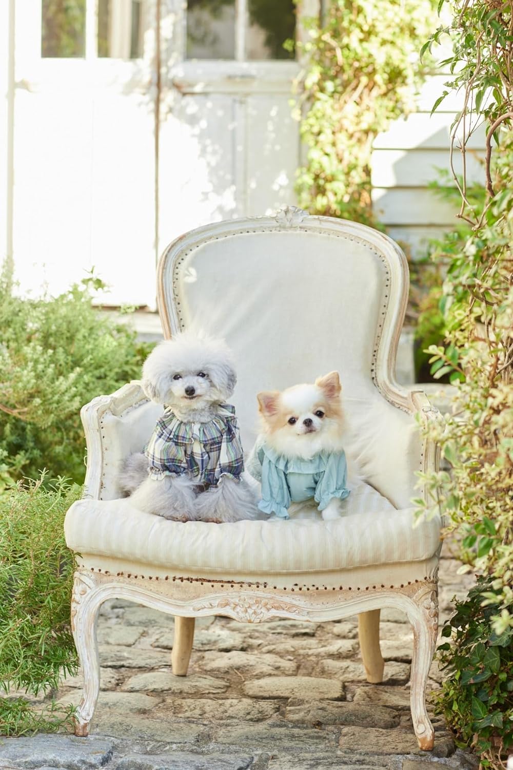 Cute dog clothes for small dogs - Japanese Craft Book