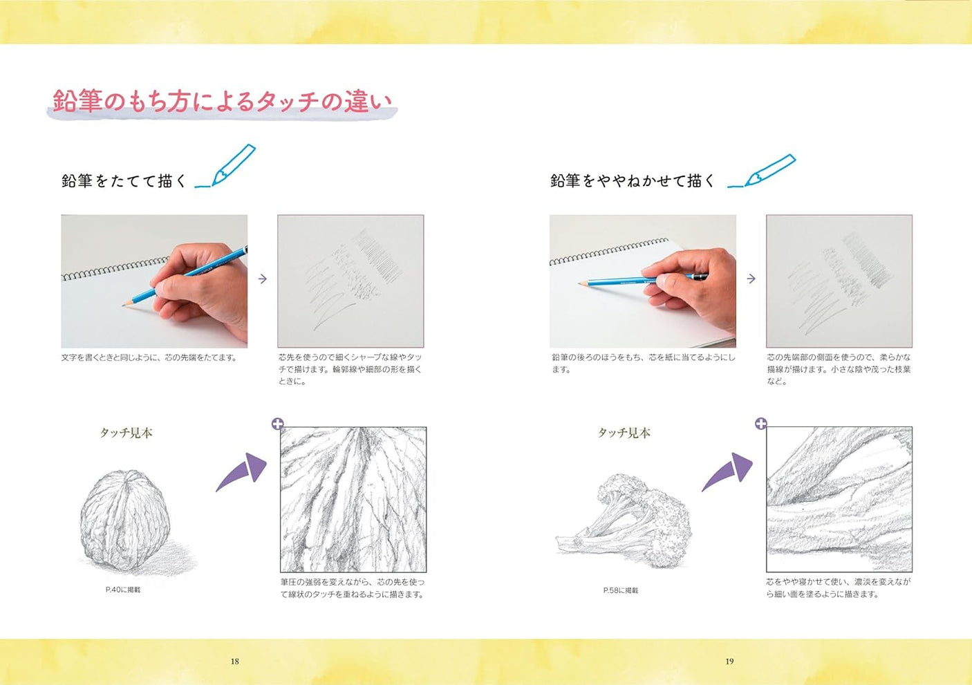 New edition of Shigeaki Nomura's pencil drawing practice book - Japanese Craft Book