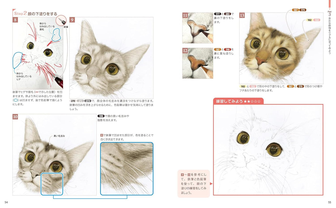 Haru Otomi's realistic colored pencil drawings: Techniques for drawing animal pictures like in photographs - Japanese Coloring Book