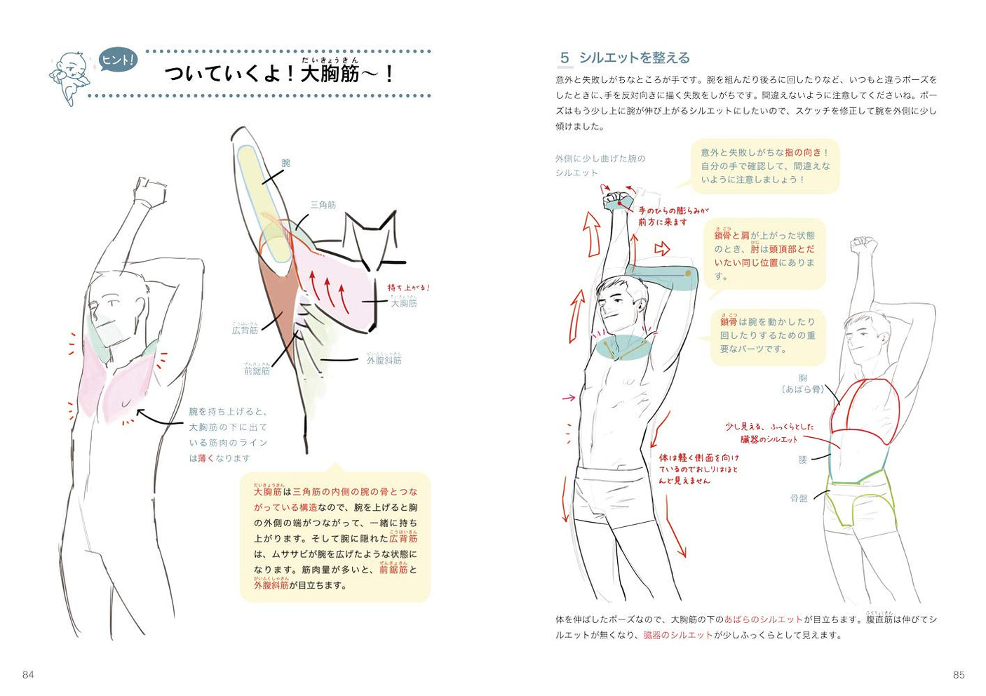 How to draw a handsome body, those who want to draw sturdy, muscular male characters- Japanese Craft Book