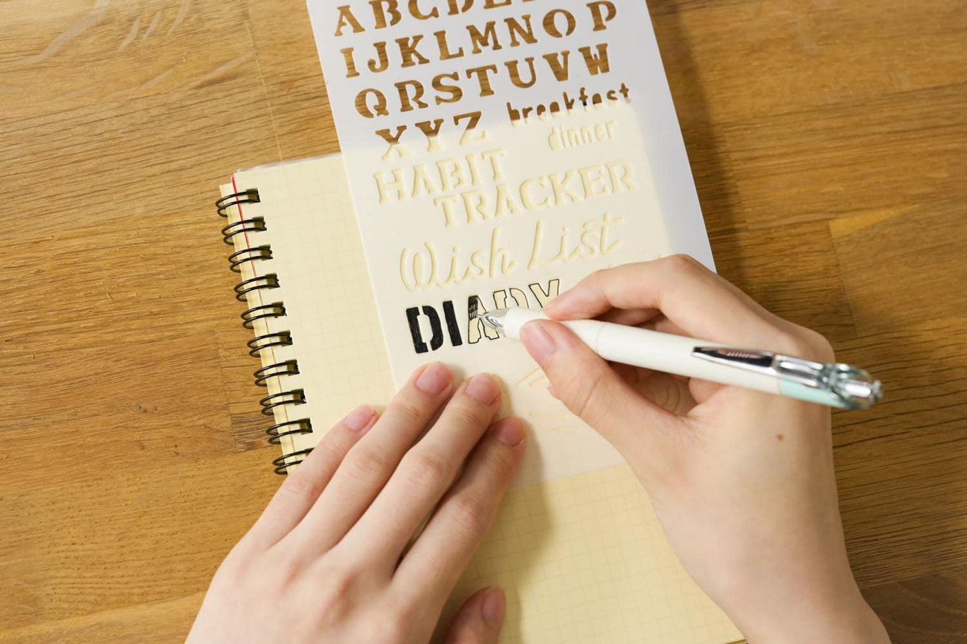 Easy and stylish hand lettering book with cat template set (TJMOOK)