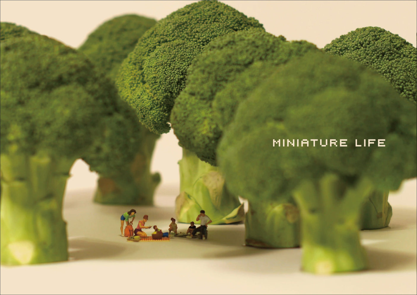 MINIATURE LIFE - Stunning New Art Book Japanese Craft Books Japanese album Photo - Japanese Craft Book