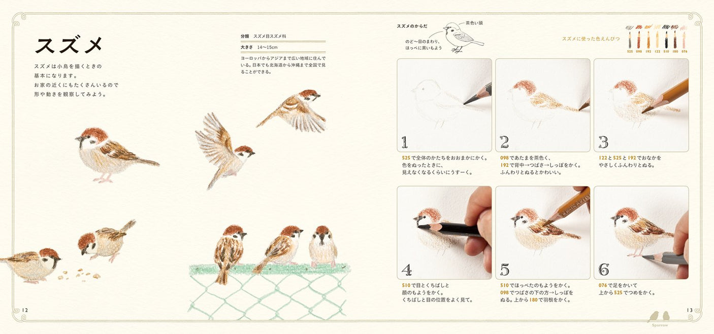 Cute birds with colored pencils First lesson Japanese Craft Book illustration - Japanese Craft Book