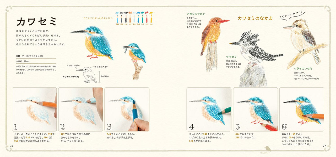 Cute birds with colored pencils First lesson Japanese Craft Book illustration - Japanese Craft Book