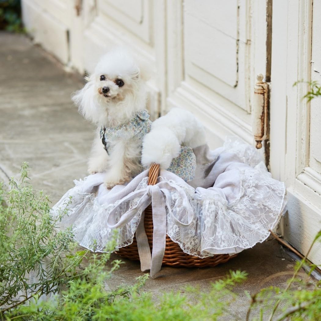 Cute dog clothes for small dogs - Japanese Craft Book