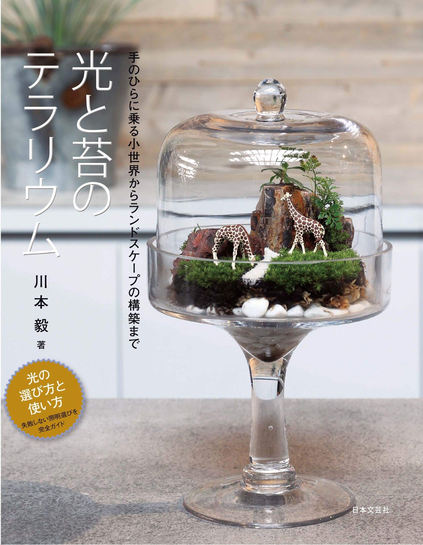 Terrariums of light and moss: From a small world in the palm of your hand to building a landscape