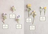 Crocheted Luna Heavenly small flower accessories - Japanese Craft Book