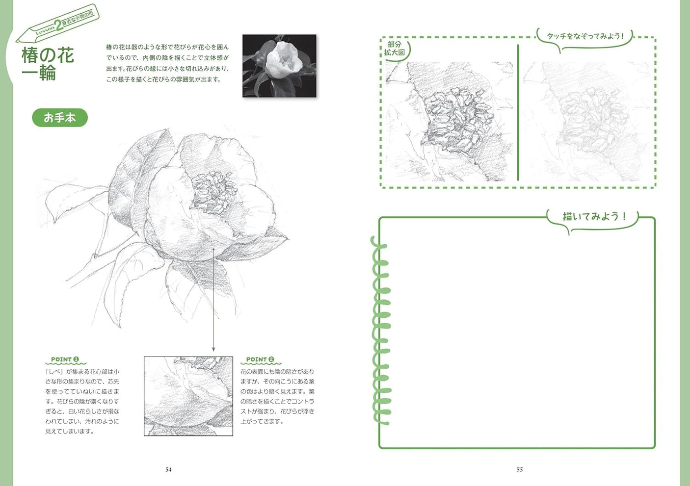 New edition of Shigeaki Nomura's pencil drawing practice book - Japanese Craft Book